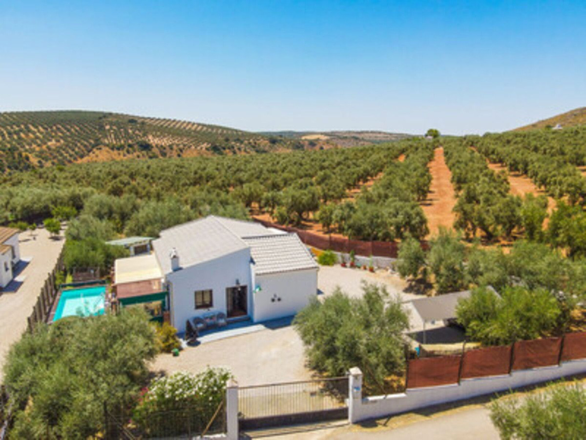 Property main view 28