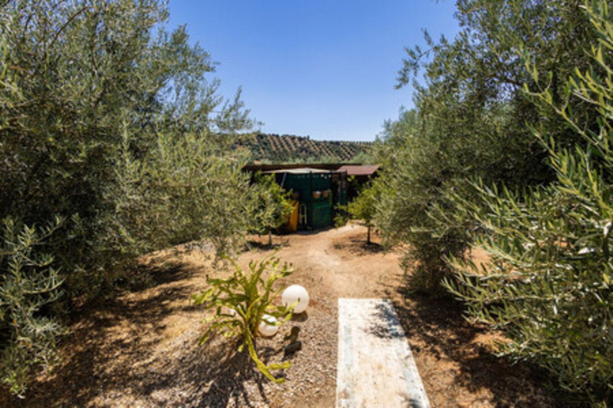 Property main view 29