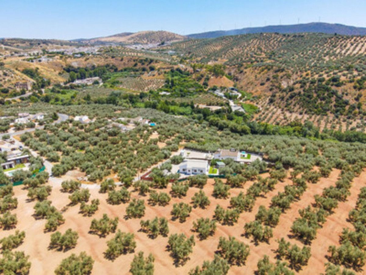 Property main view 30