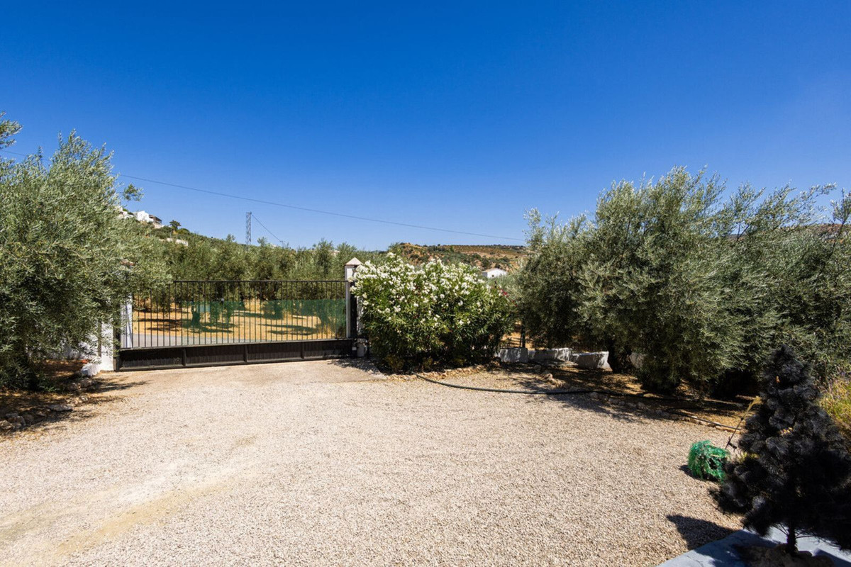 Property main view 31