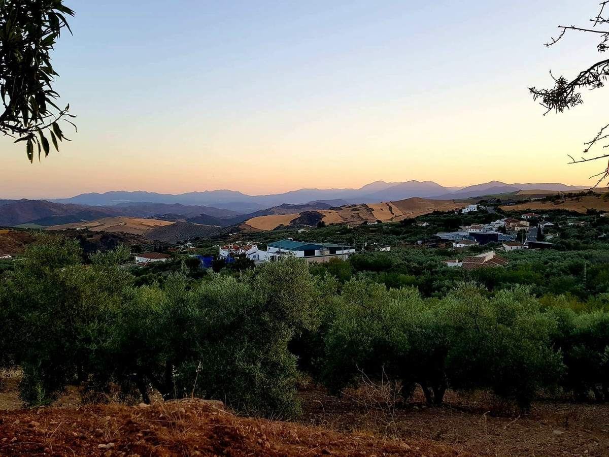 Finca - Cortijo in Villanueva De La Concepcion-26