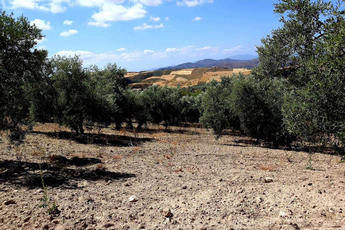 Finca - Cortijo in Villanueva De La Concepcion-27