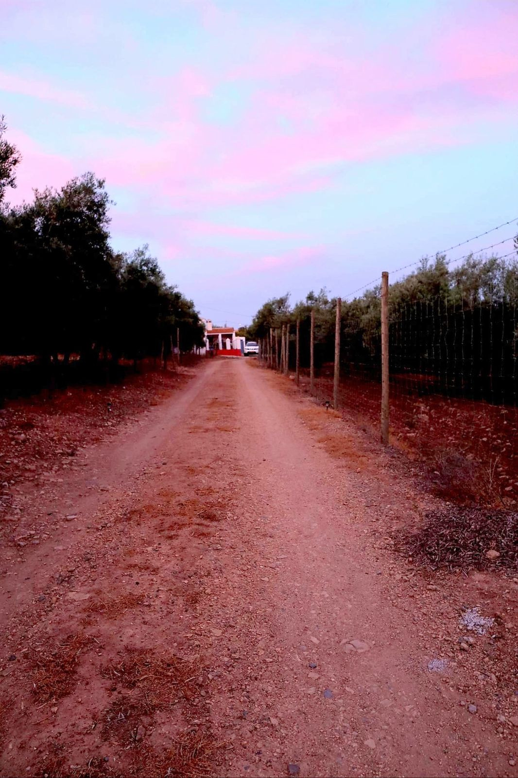 Finca - Cortijo in Villanueva De La Concepcion-34