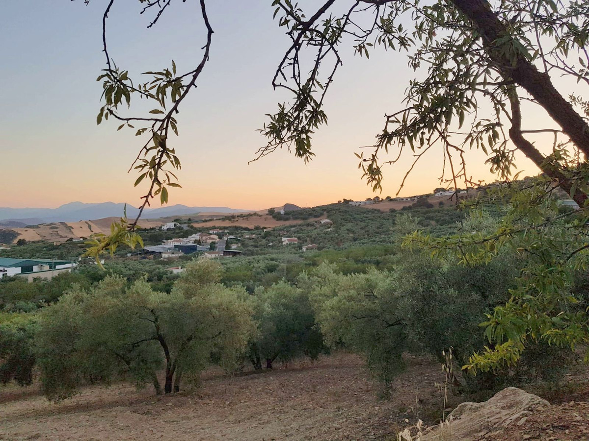 Finca - Cortijo in Villanueva De La Concepcion-35
