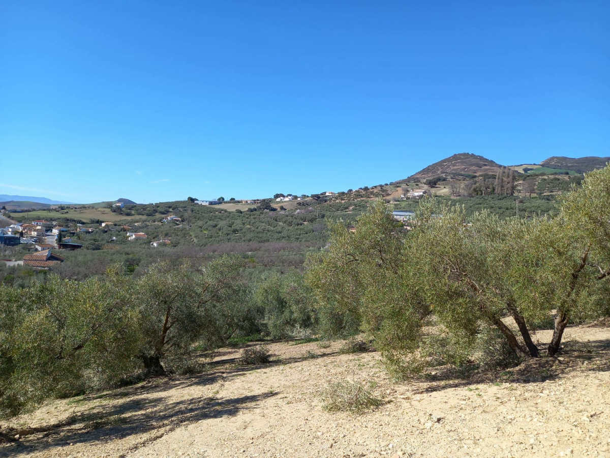 Finca - Cortijo in Villanueva De La Concepcion-36