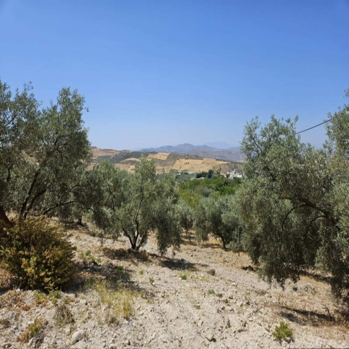 Huis te koop in Villanueva De La Concepcion | 3 slaapkamers H5123182