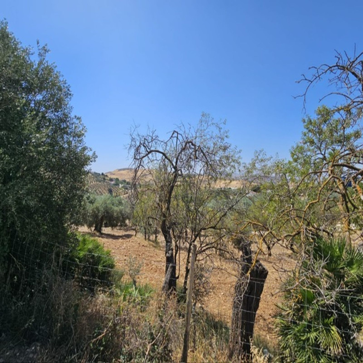 Huis te koop in Villanueva De La Concepcion | 3 slaapkamers H5123182