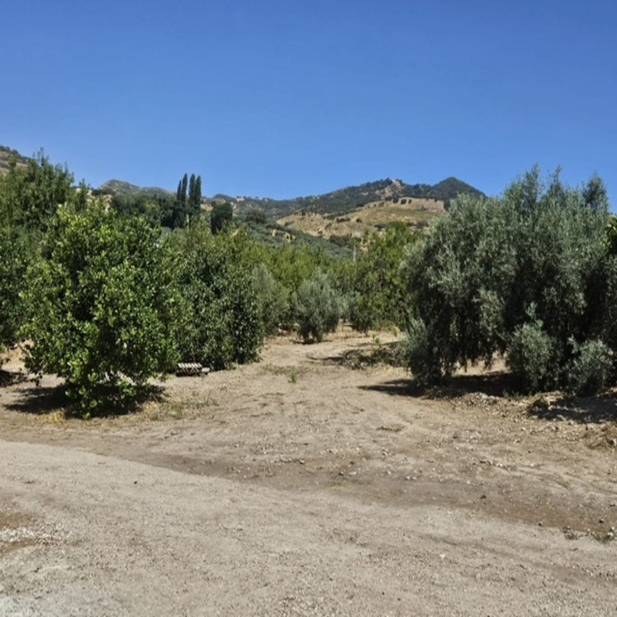 Huis te koop in Villanueva De La Concepcion | 3 slaapkamers H5123182