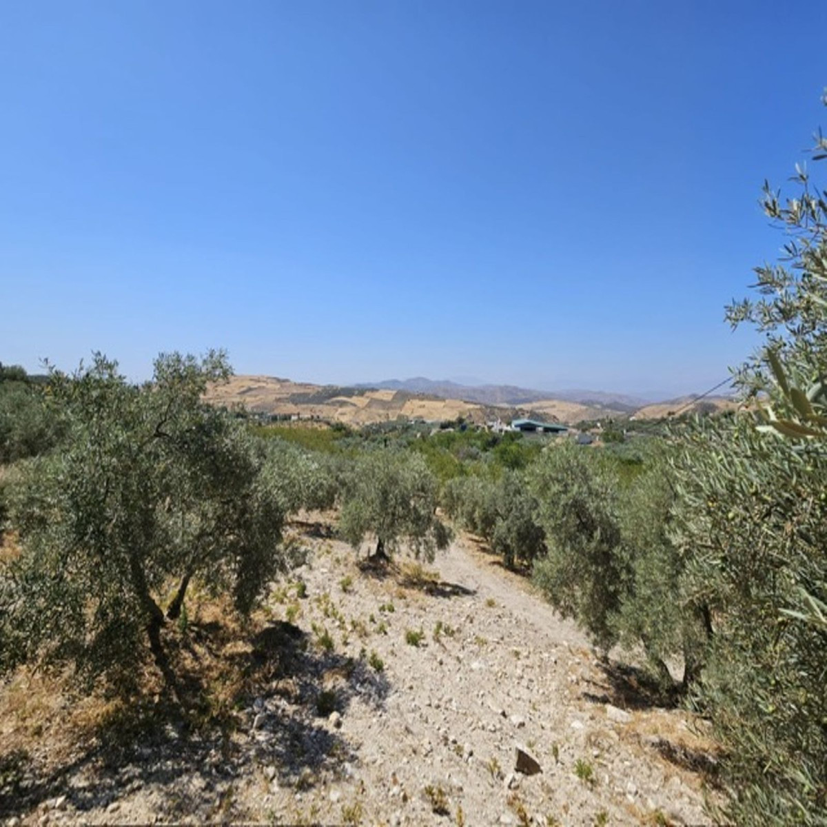 Huis te koop in Villanueva De La Concepcion | 3 slaapkamers H5123182