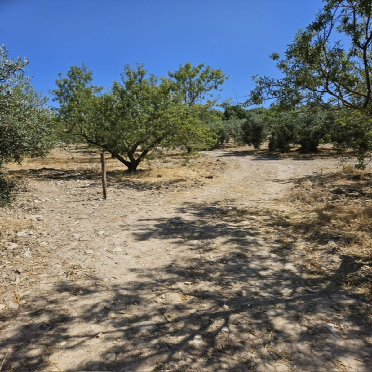 Huis te koop in Villanueva De La Concepcion | 3 slaapkamers H5123182