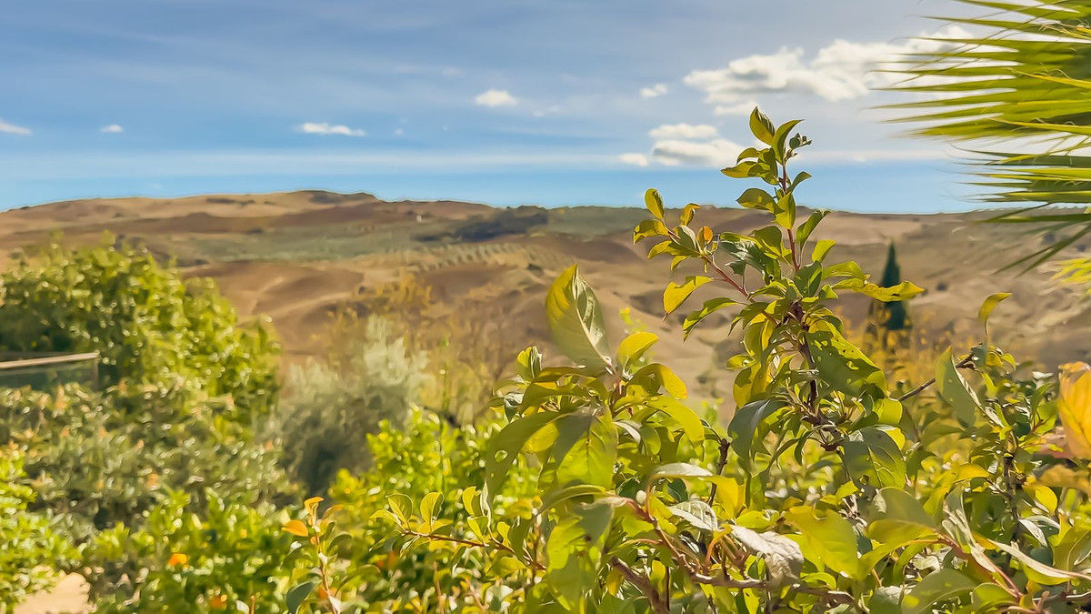 Huis te koop in Villanueva De La Concepcion | 2 slaapkamers H5236552