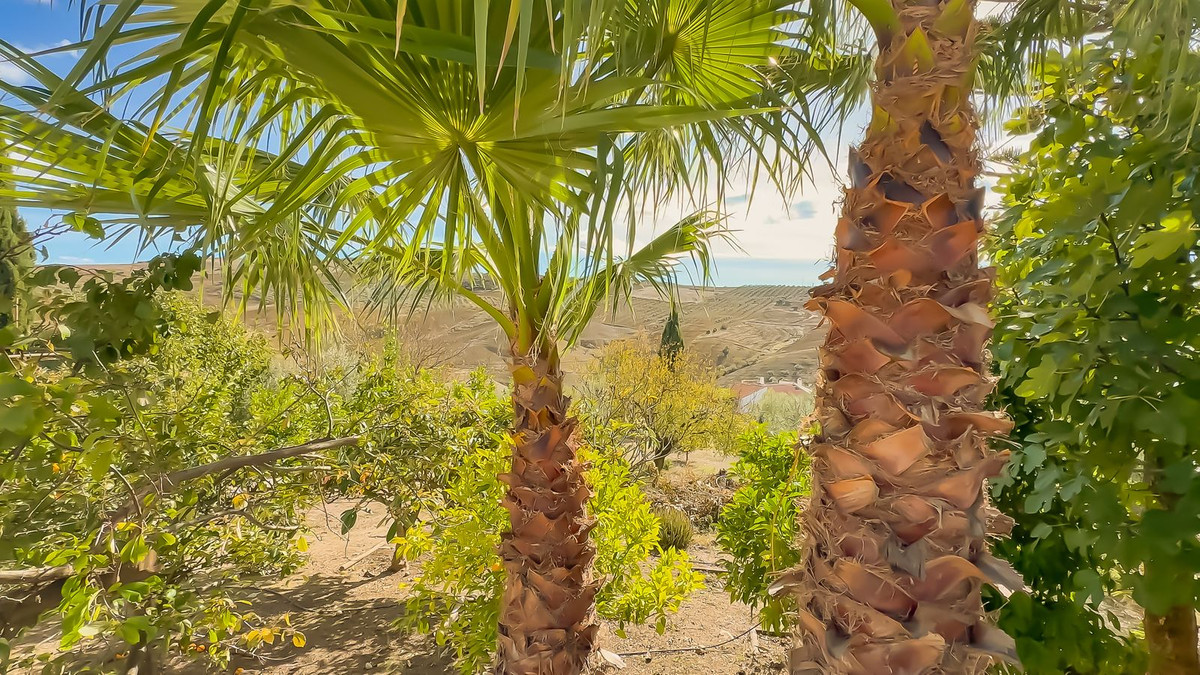 Huis te koop in Villanueva De La Concepcion | 2 slaapkamers H5236552