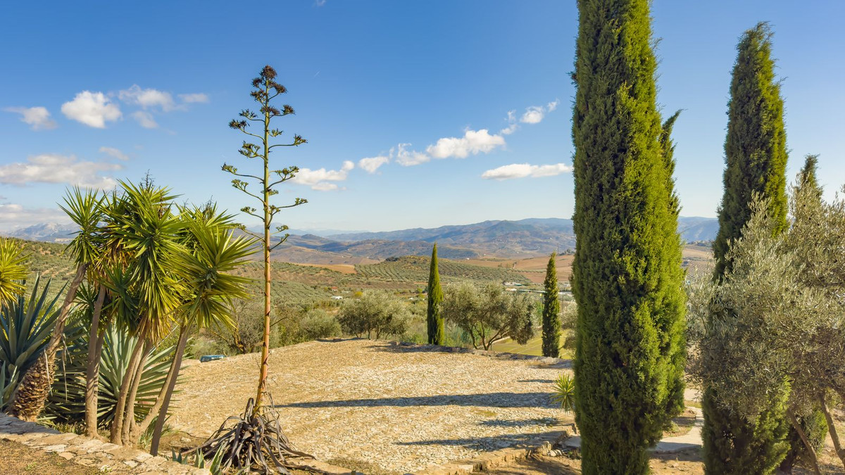 Huis te koop in Villanueva De La Concepcion | 13 slaapkamers H5236564