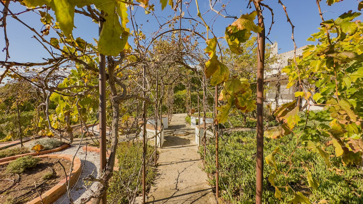 Huis te koop in Villanueva De La Concepcion | 13 slaapkamers H5236564