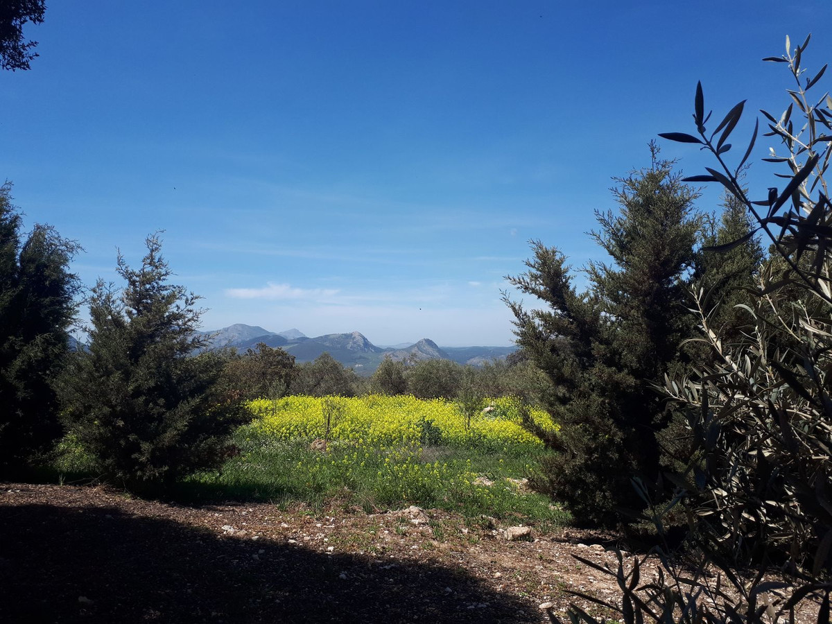 Huis te koop in Villanueva del Rosario | 1 slaapkamers H5062462