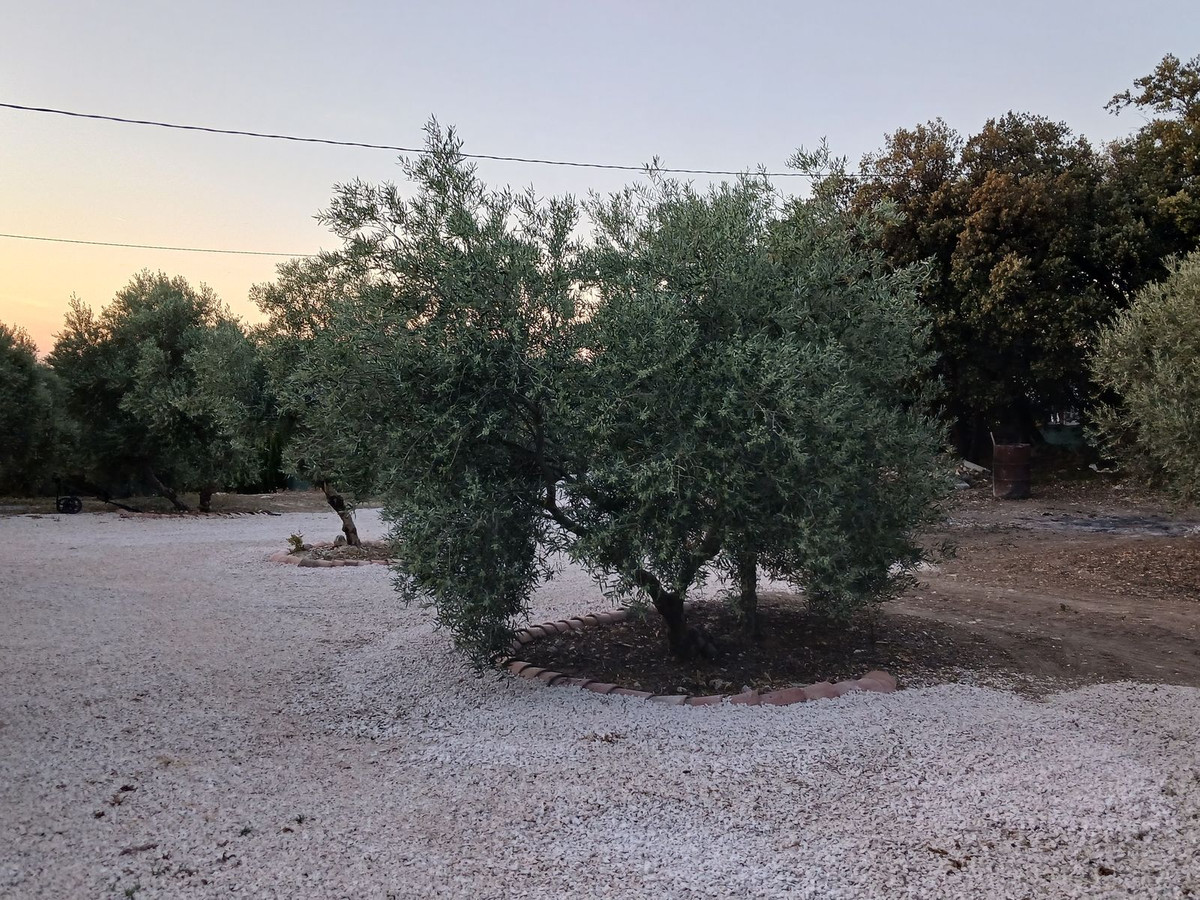 Huis te koop in Villanueva del Rosario | 1 slaapkamers H5062462