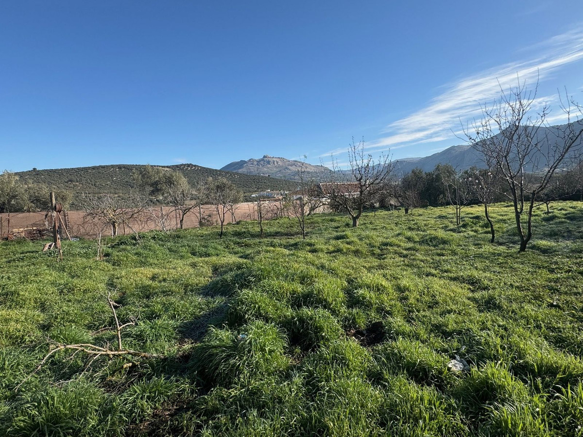 Vrijstaande Villa in Villanueva del Trabuco-39