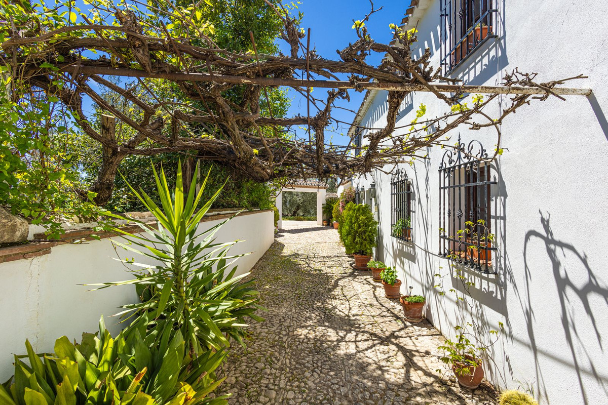 Property main view 15