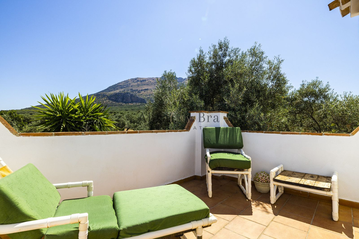 Property main view 67
