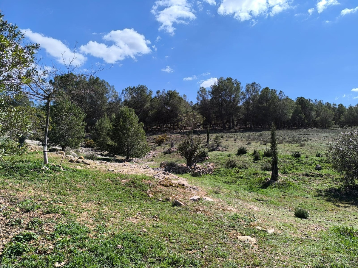 Finca - Cortijo te koop in Villena | 4 slaapkamers H5332756