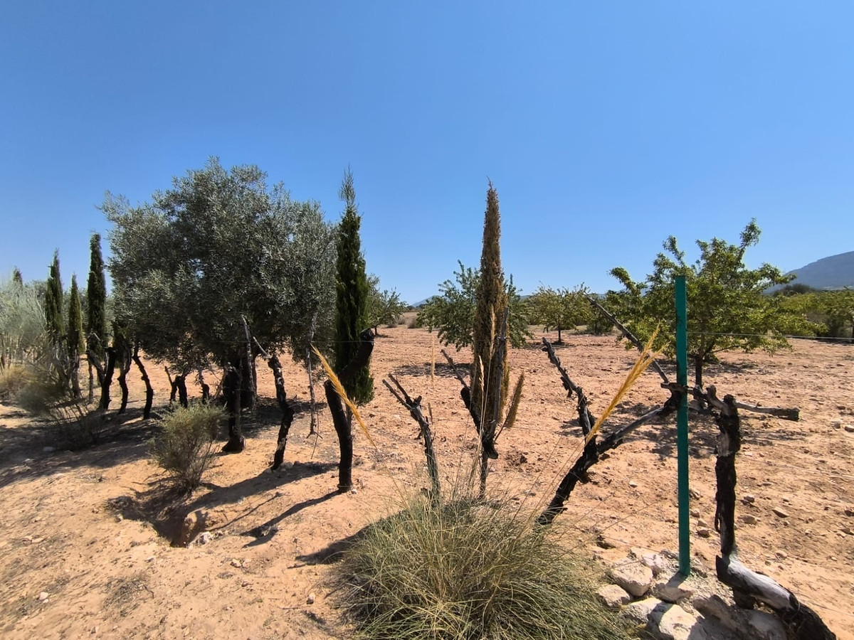 Property main view 17