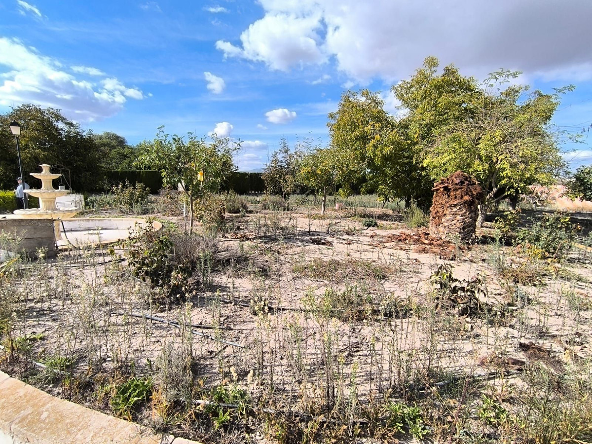 Finca - Cortijo te koop in Villena | 7 slaapkamers H5517145