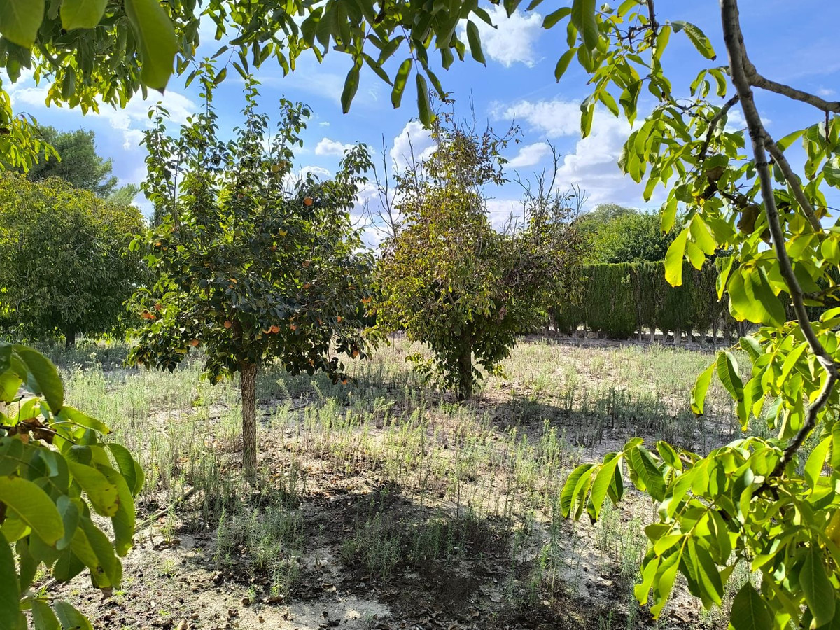 Finca - Cortijo te koop in Villena | 7 slaapkamers H5517145
