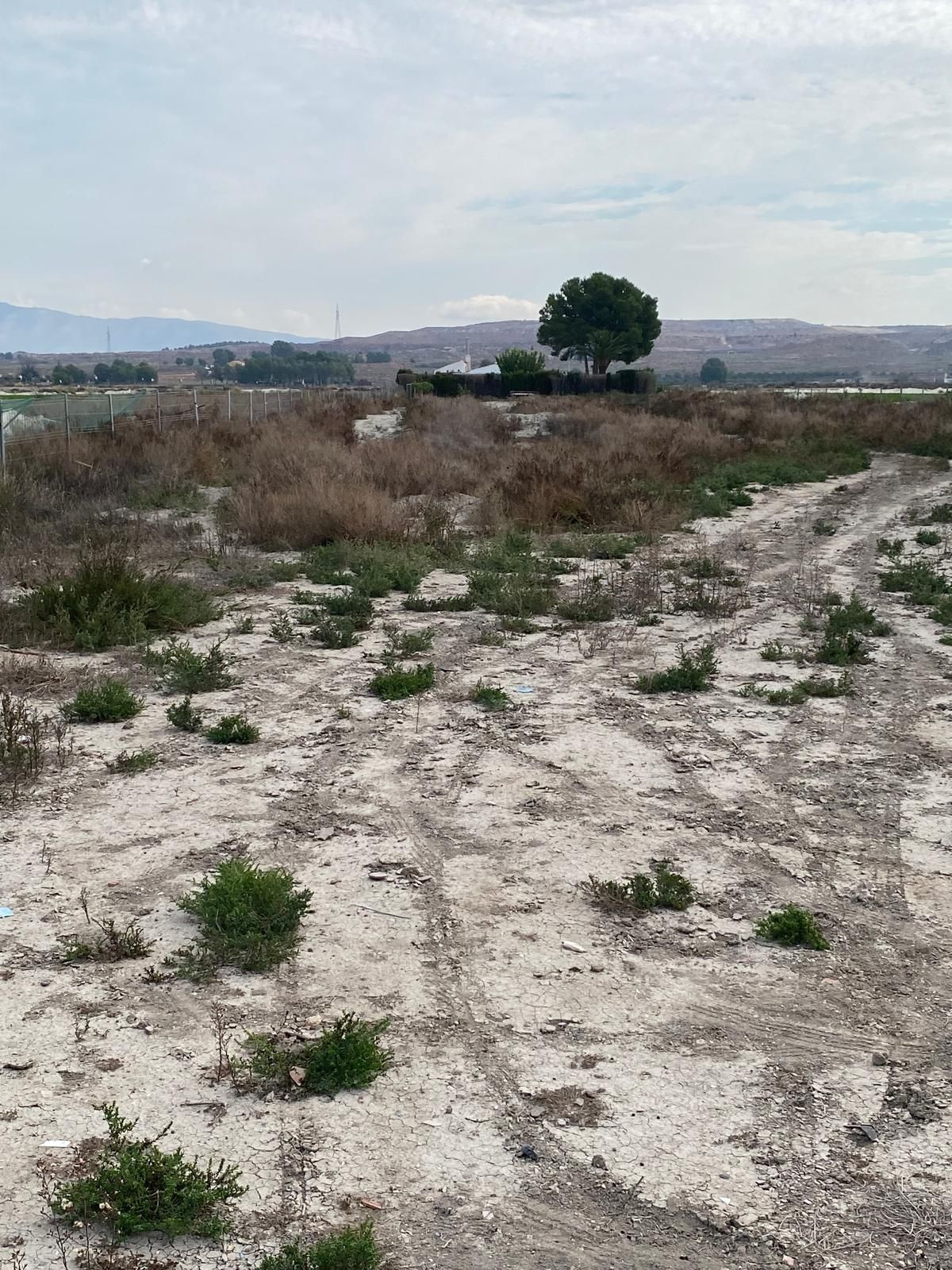 Property main view 19