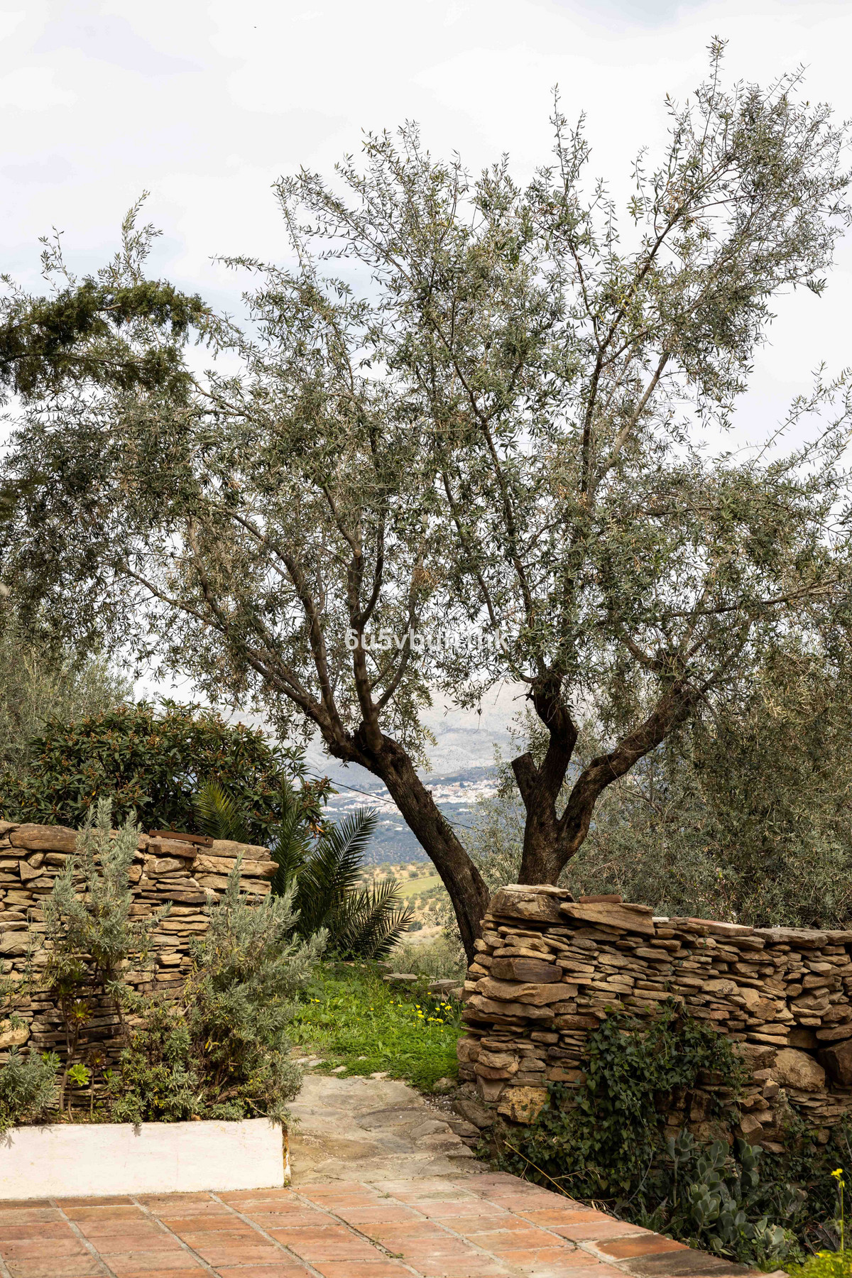 Property main view 40