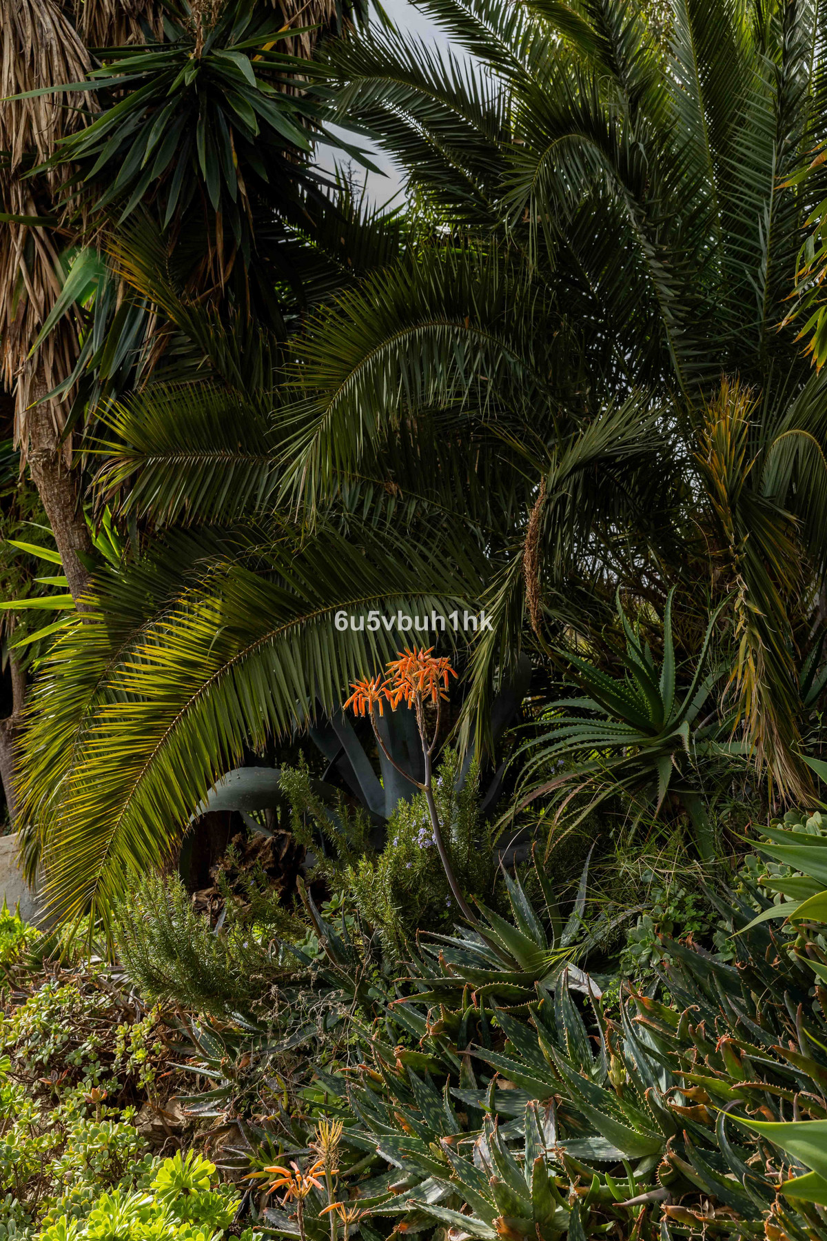 Property main view 45