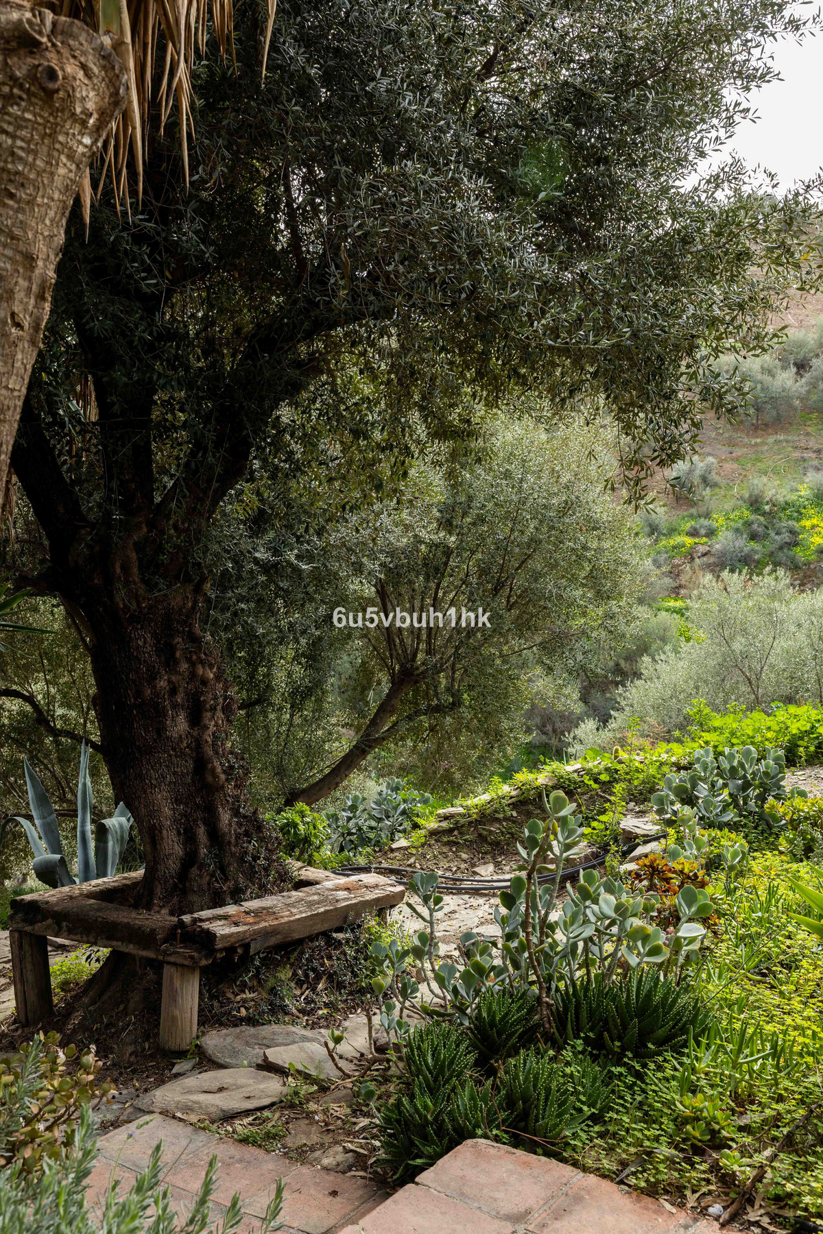 Property main view 49