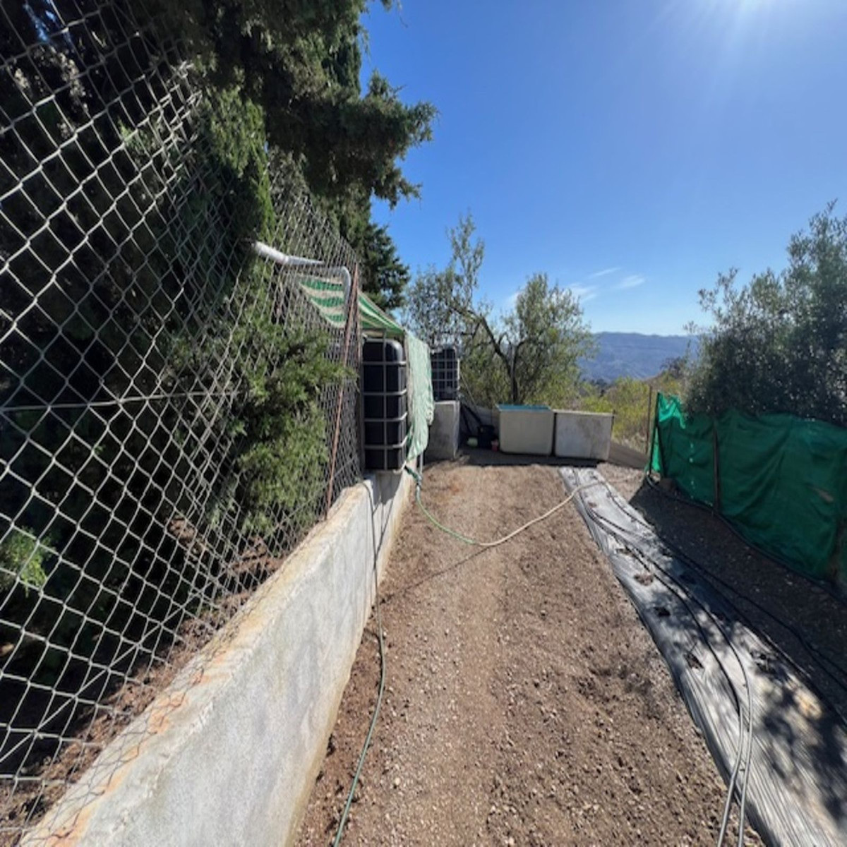 Finca - Cortijo in Viñuela-24