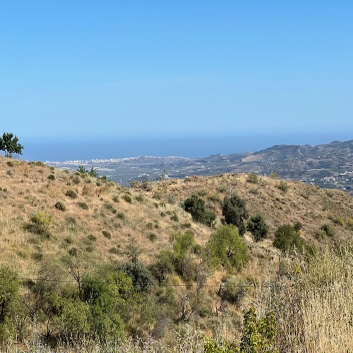 Finca - Cortijo in Viñuela-5