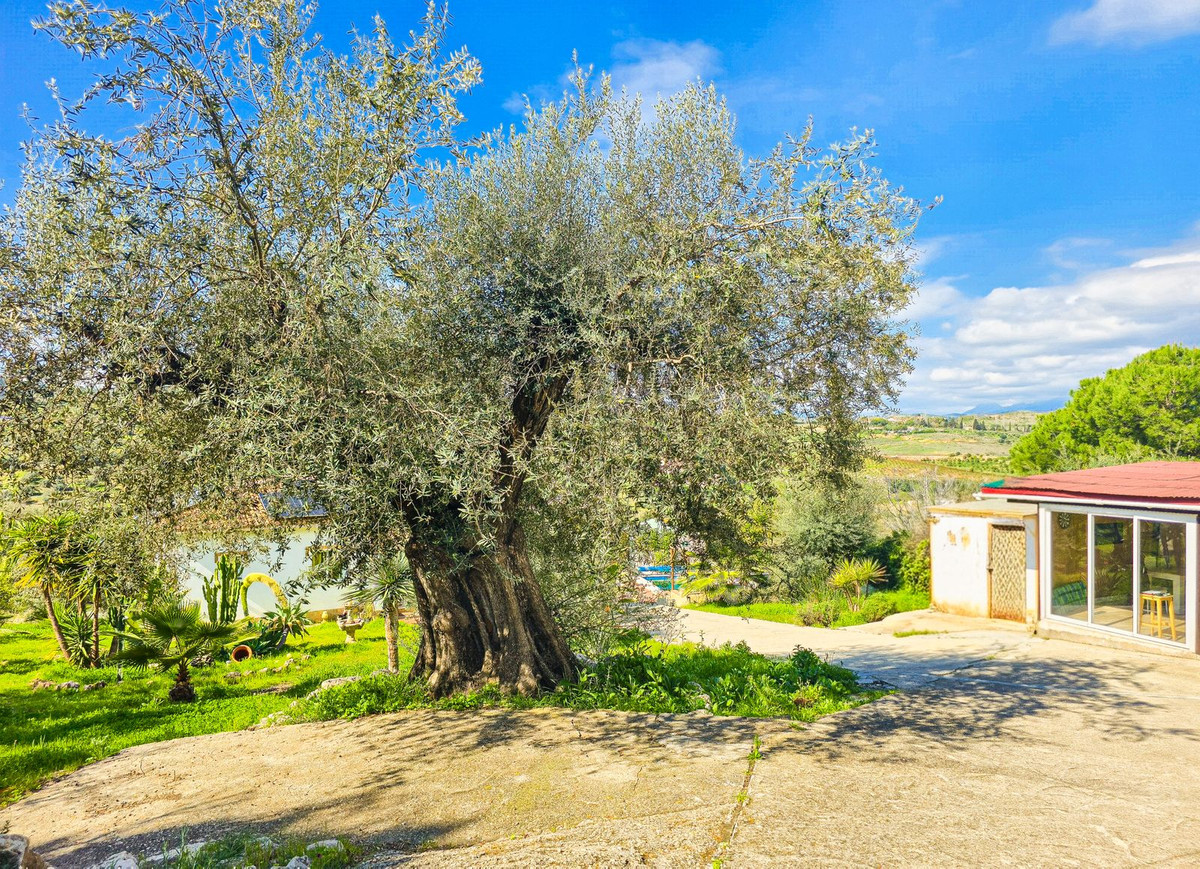 Property main view 26