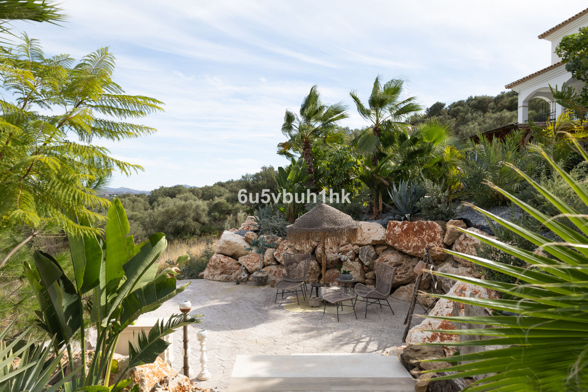 Property main view 39