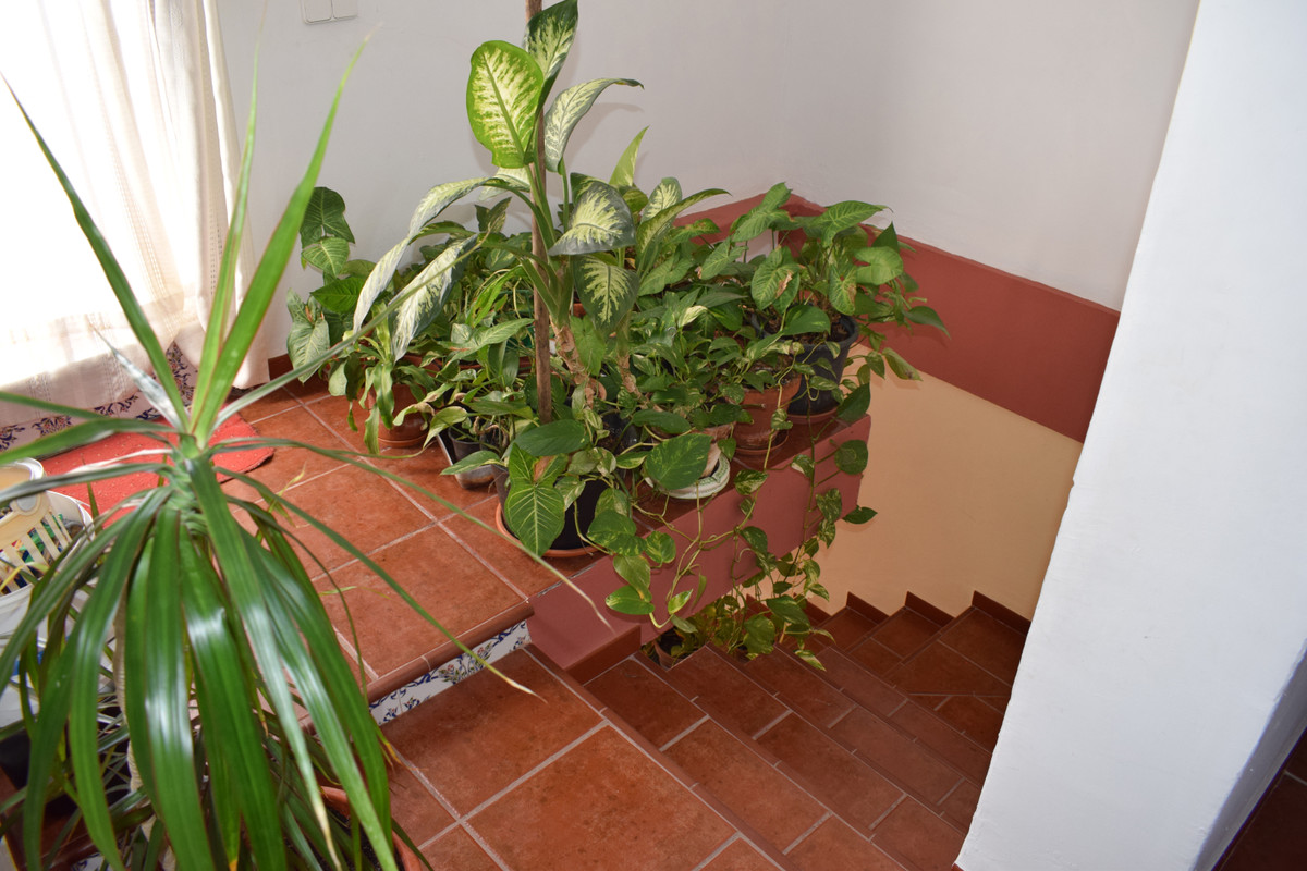 Huis te koop in Vélez-Málaga | 4 slaapkamers H3467848