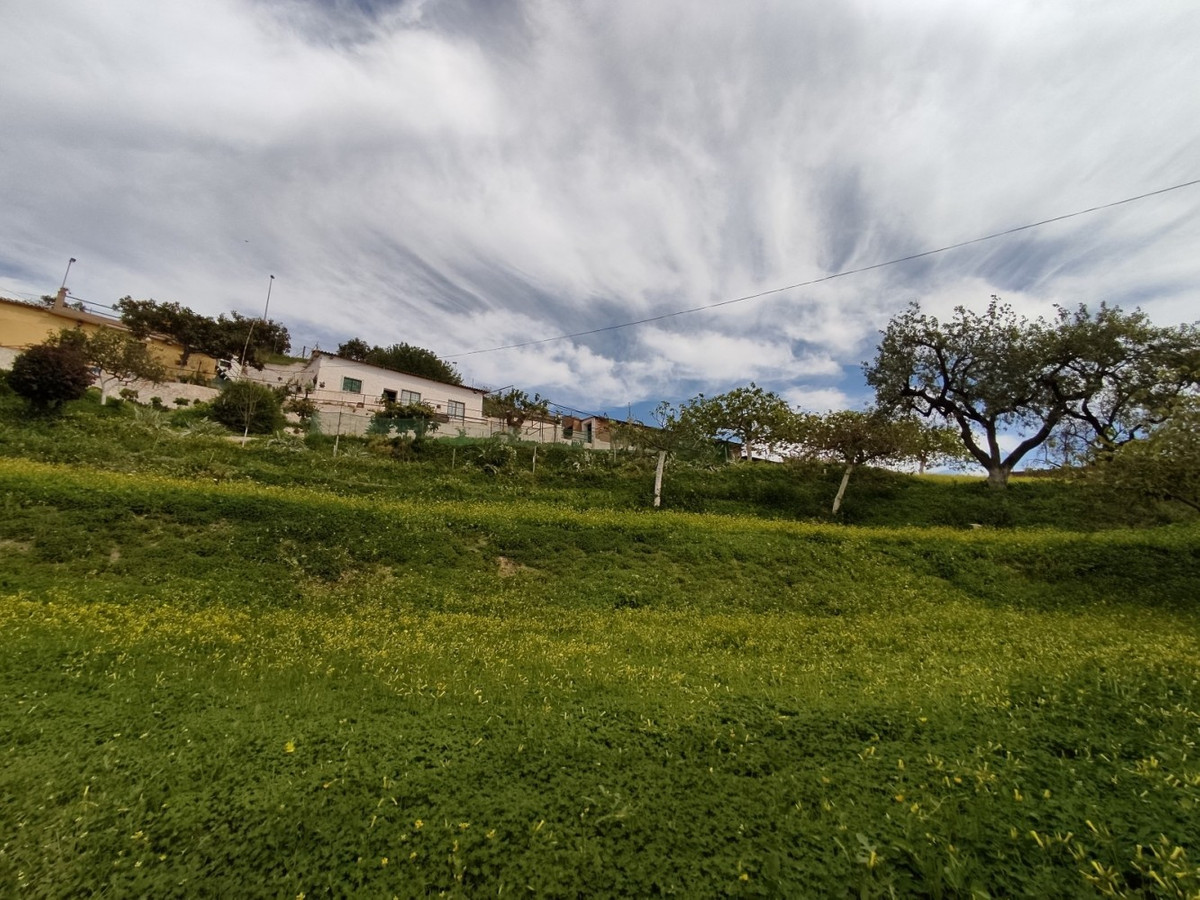 Property main view 12