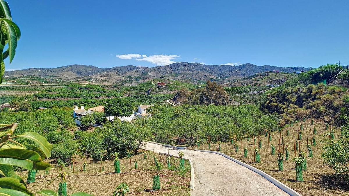 Property main view 3