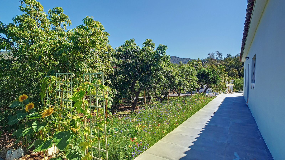 Property main view 37