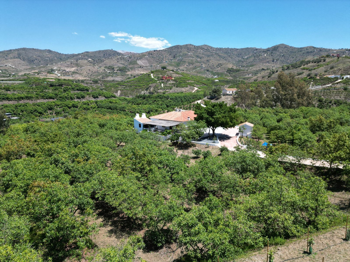 Property main view 39