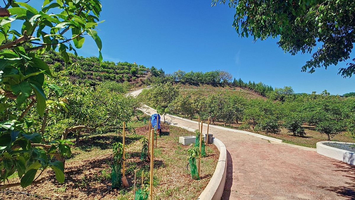 Property main view 48