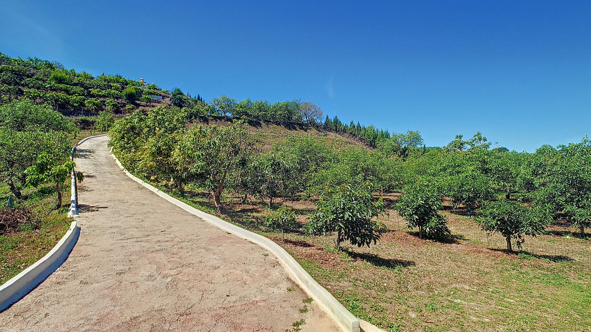 Property main view 51