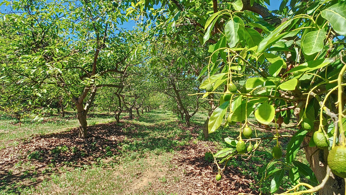 Property main view 53