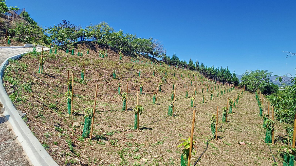 Property main view 54