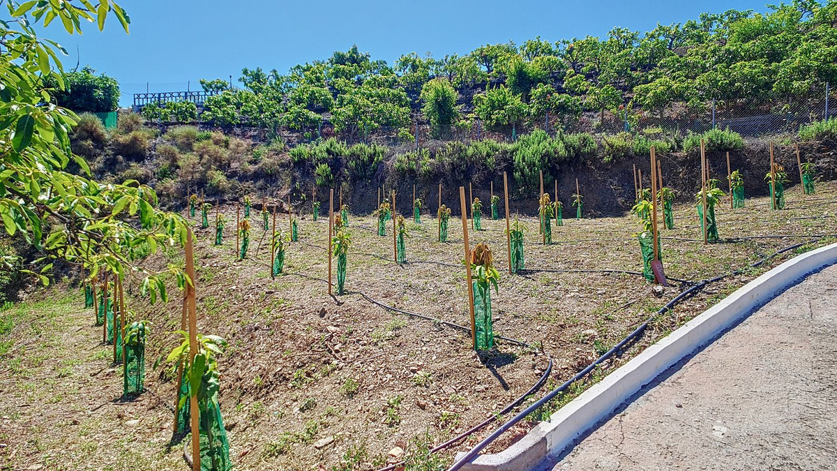 Property main view 55