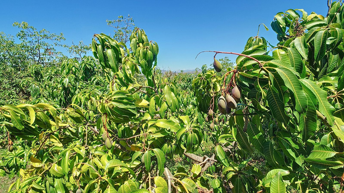 Property main view 64