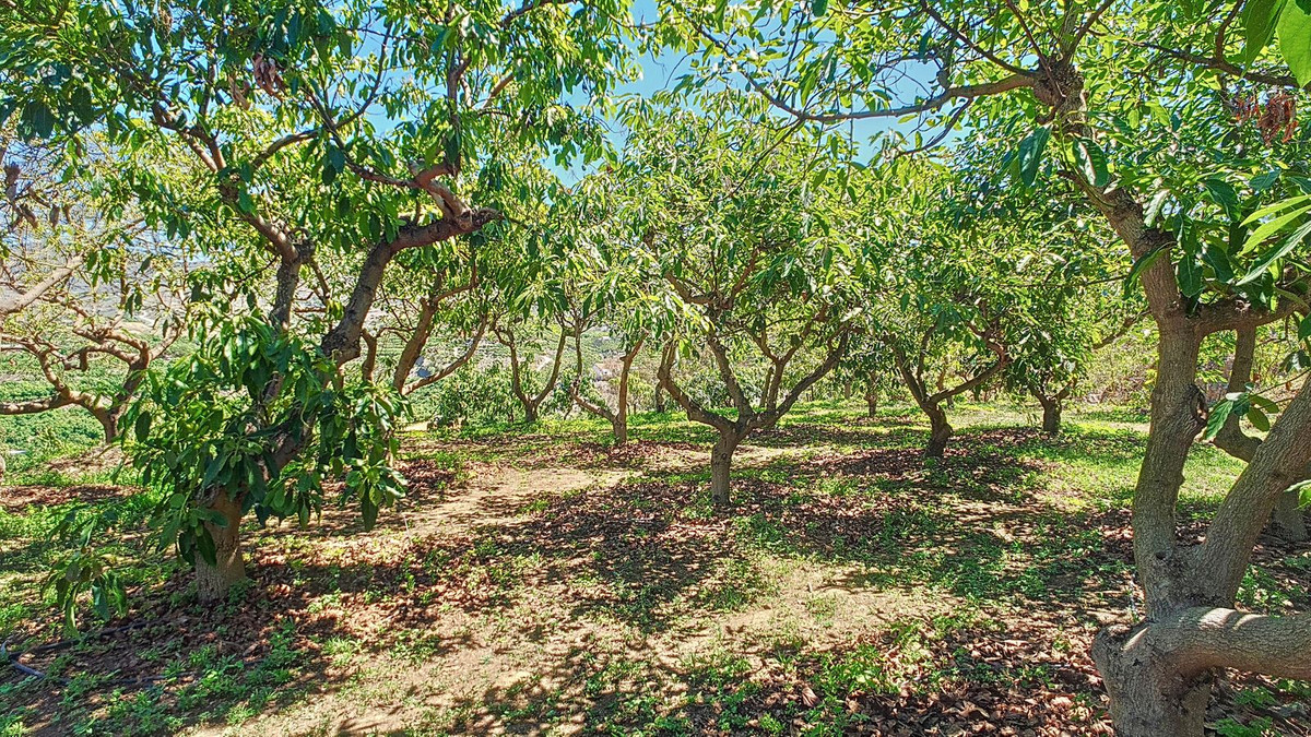 Property main view 65