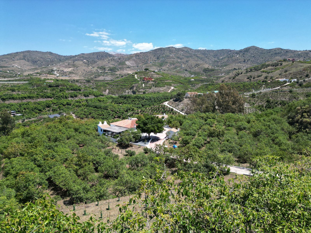 Property main view 66