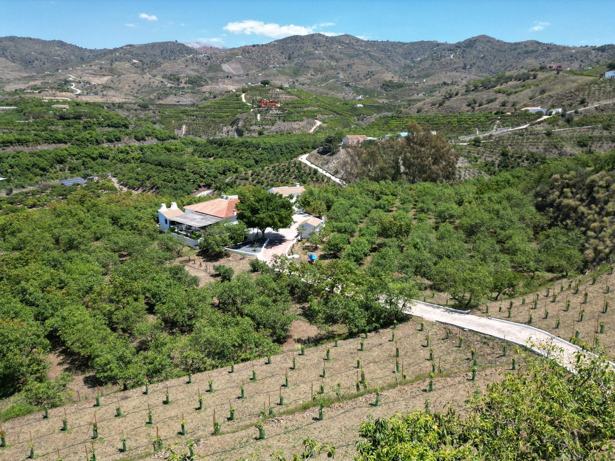 Property main view 69