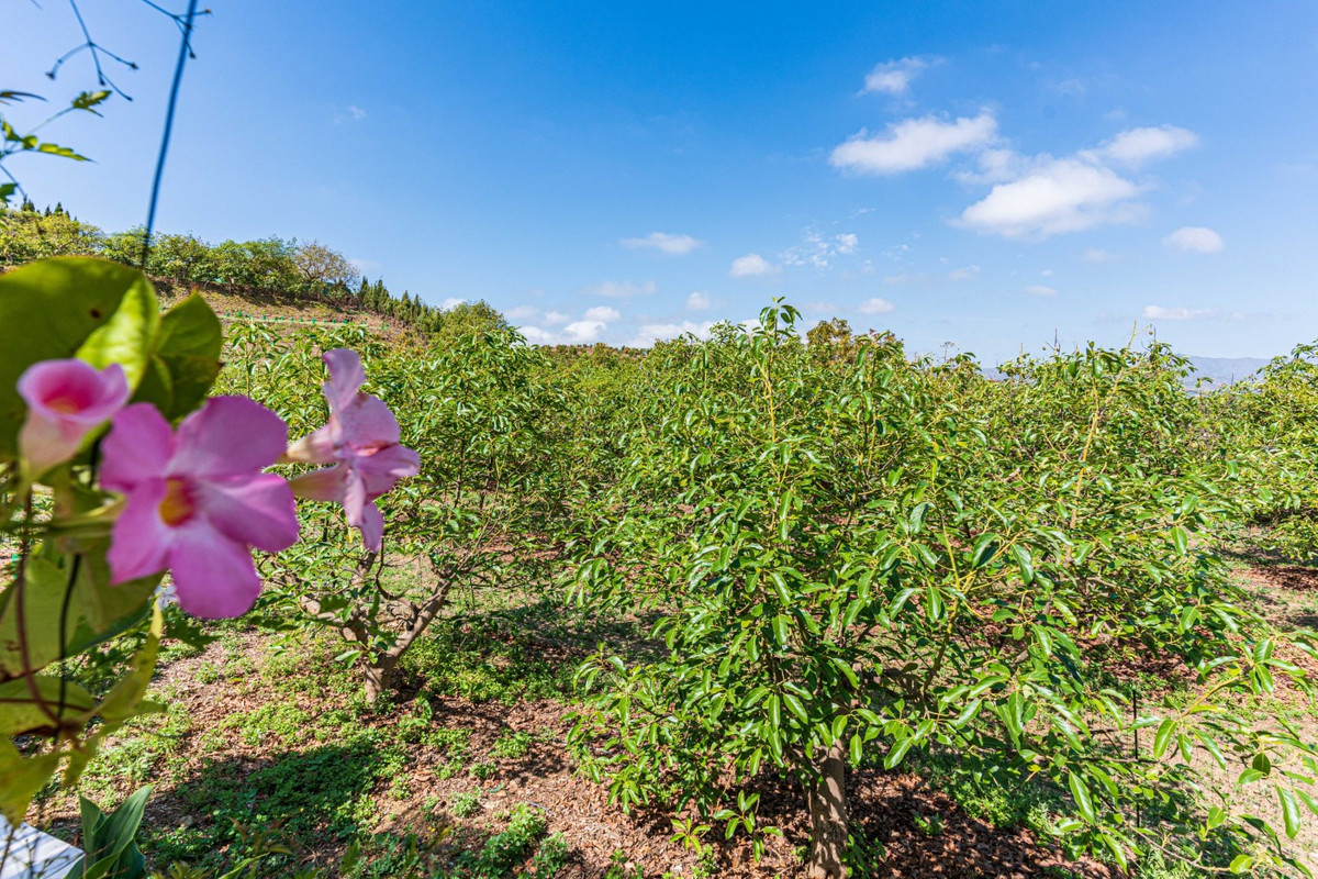 Property main view 31